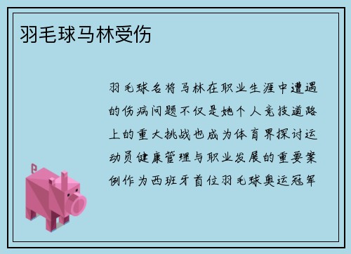 羽毛球马林受伤